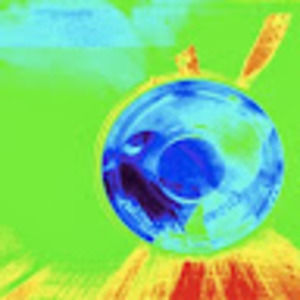 Meet your Posher, Candice